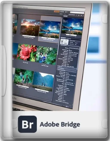 Adobe Bridge 2026