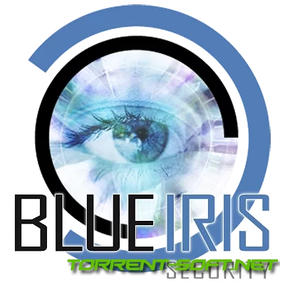 Blue Iris