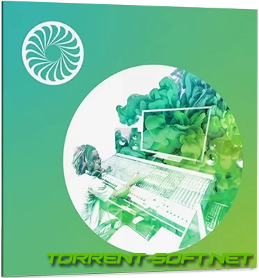 iZotope - Insight 2
