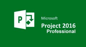 Microsoft Project Professional 2013 SP1