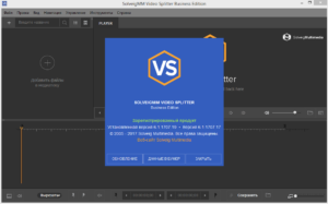 Video Splitter Business