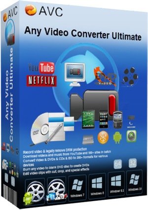 Any Video Converter Professional