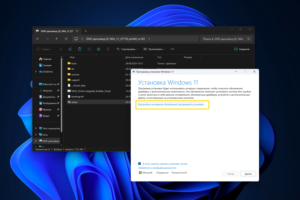 Windows 11 Bruxer